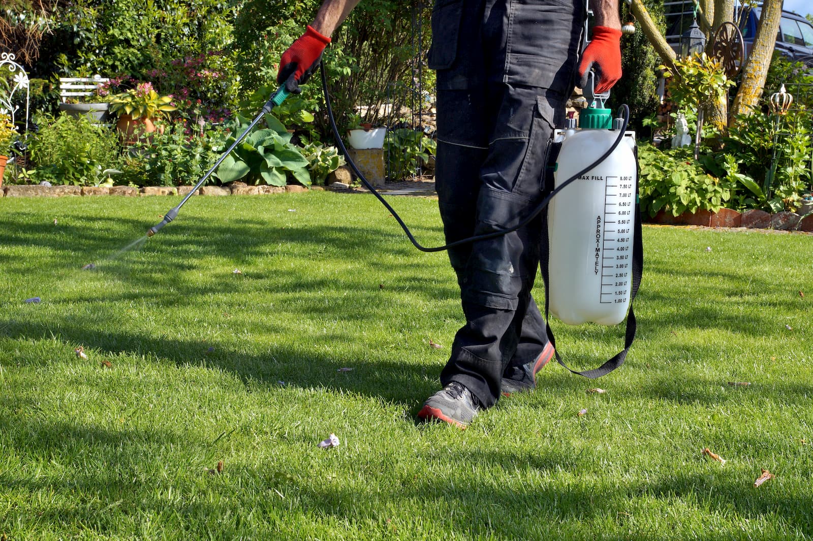 weed spraying